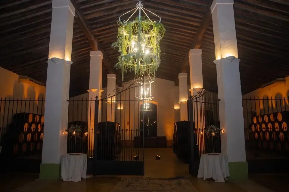 FINCA CERRO DE OBREGON - imagen 5