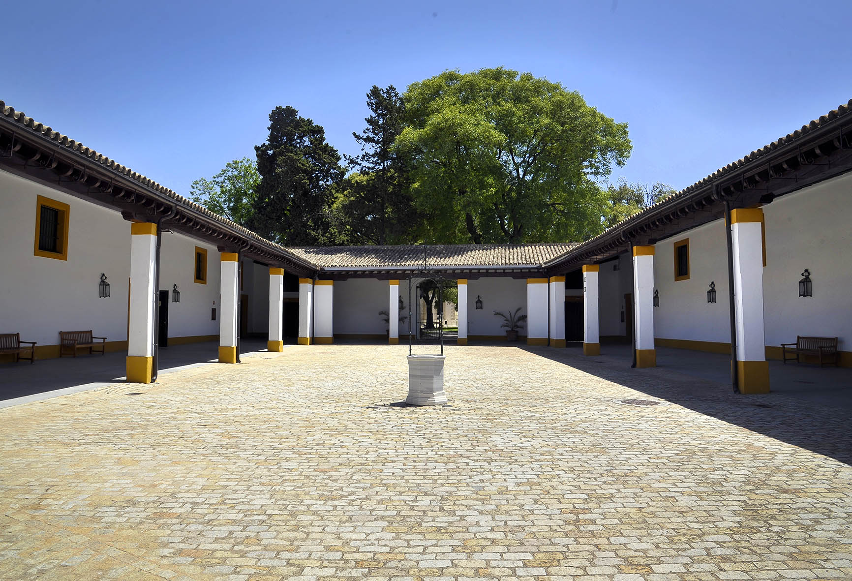MUSEOS DE LA ATALAYA - imagen 4