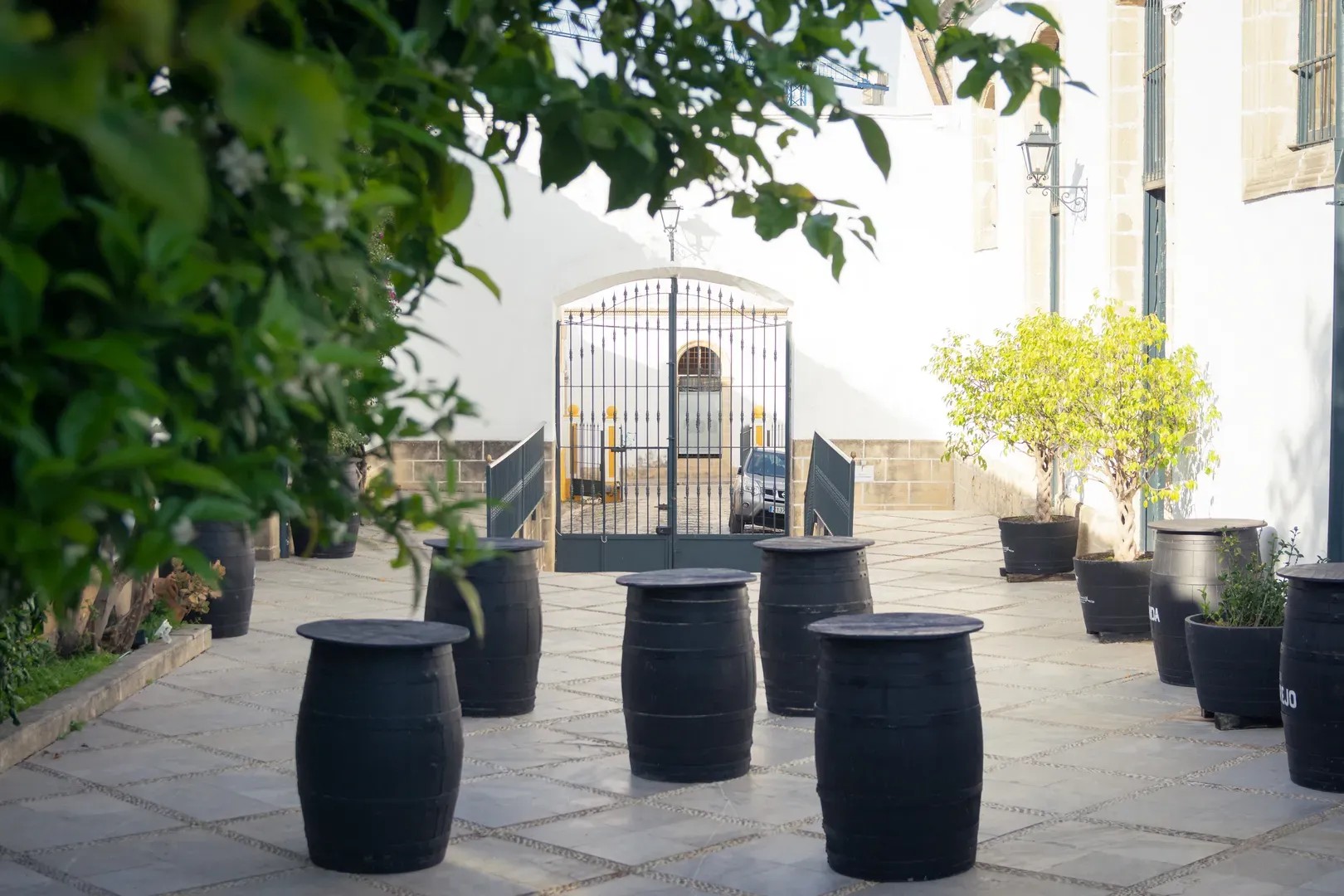 BODEGAS ALVARO DOMECQ - imagen 5