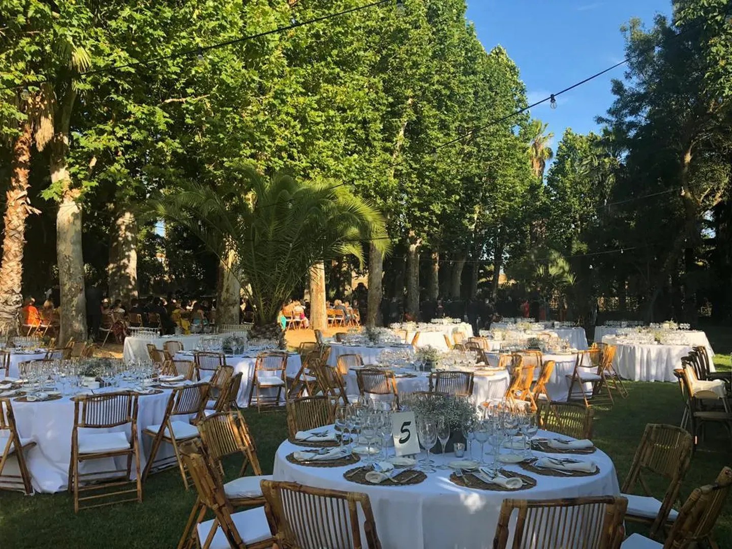 FINCA LOS FRESNOS - imagen 4