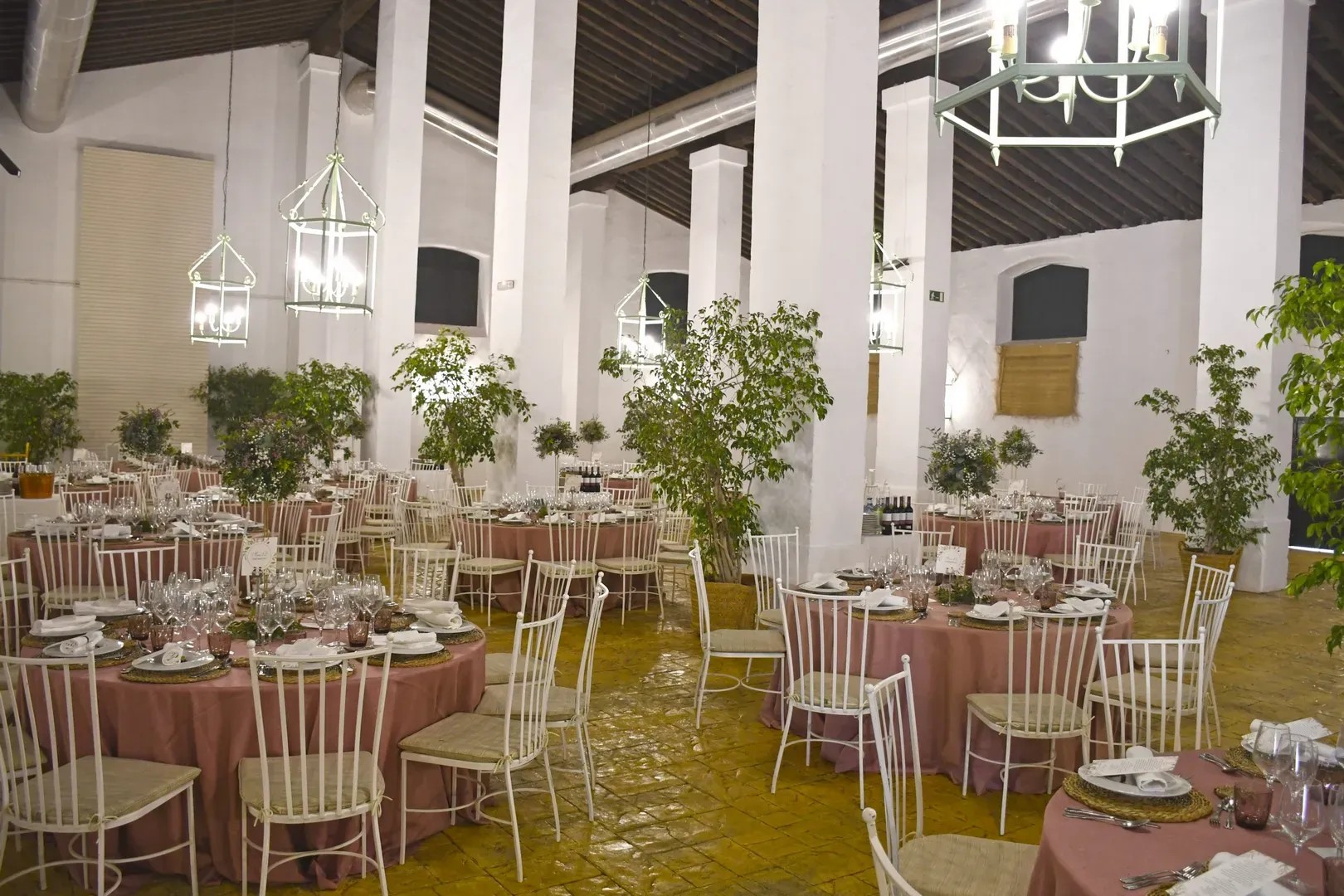BODEGA ALAMEDA - imagen 3