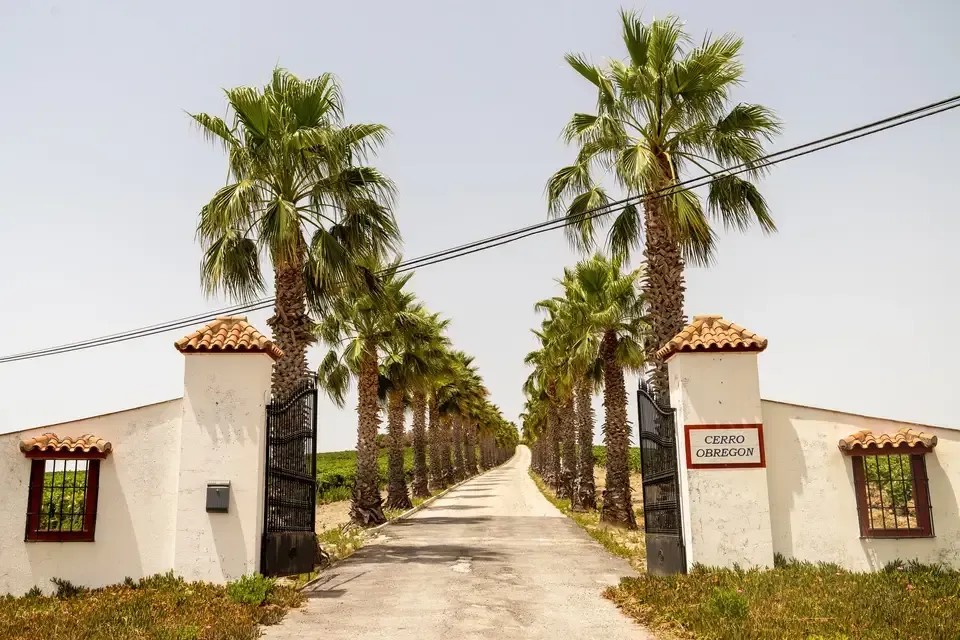 FINCA CERRO DE OBREGON