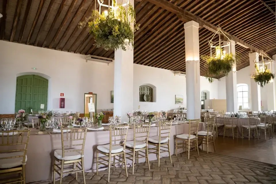 FINCA CERRO DE OBREGON - imagen 4