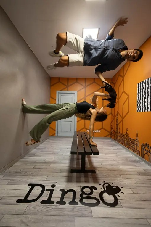 MUSEO DE LAS ILUSIONES - imagen 5