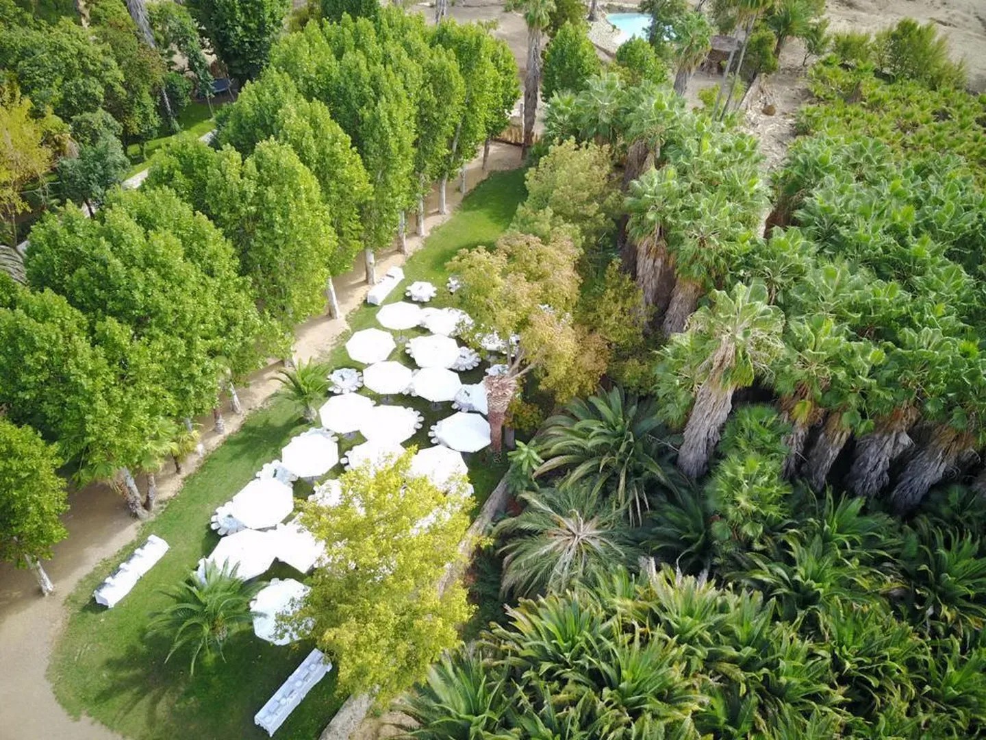 FINCA LOS FRESNOS - imagen 3
