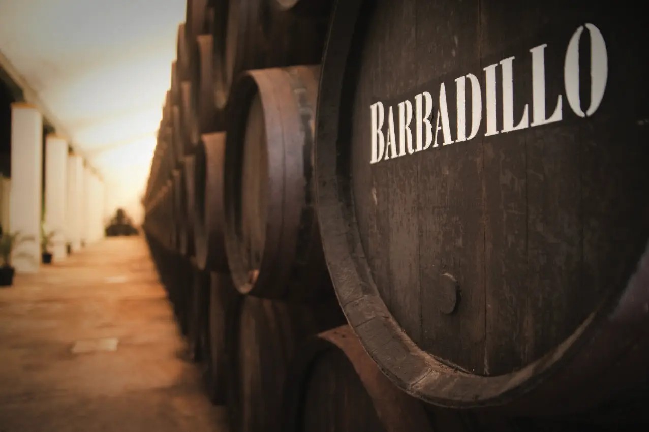 BODEGAS BARBADILLO