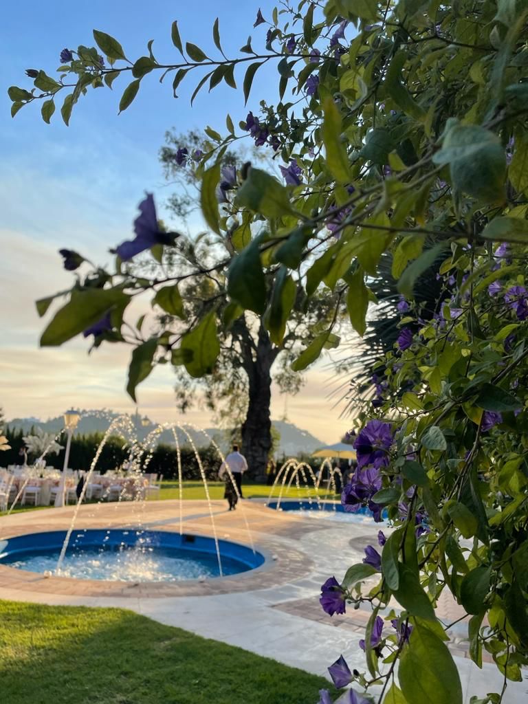PALACIO MONTE MIRAMAR - imagen 4