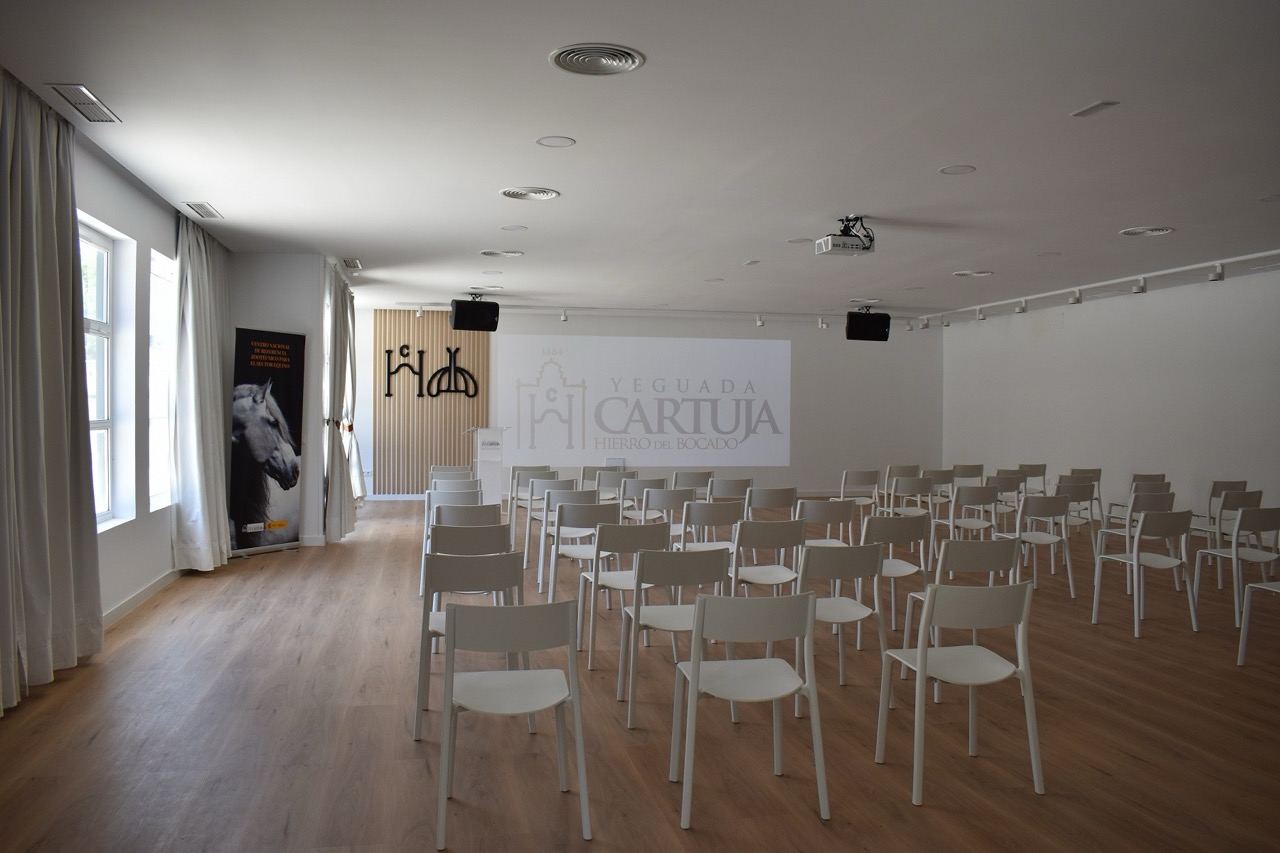 YEGUADA CARTUJA - imagen 3
