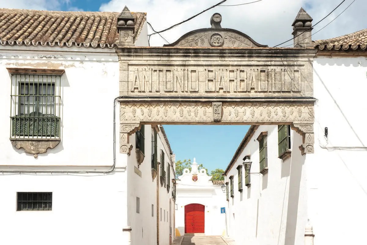 BODEGAS BARBADILLO - imagen 2