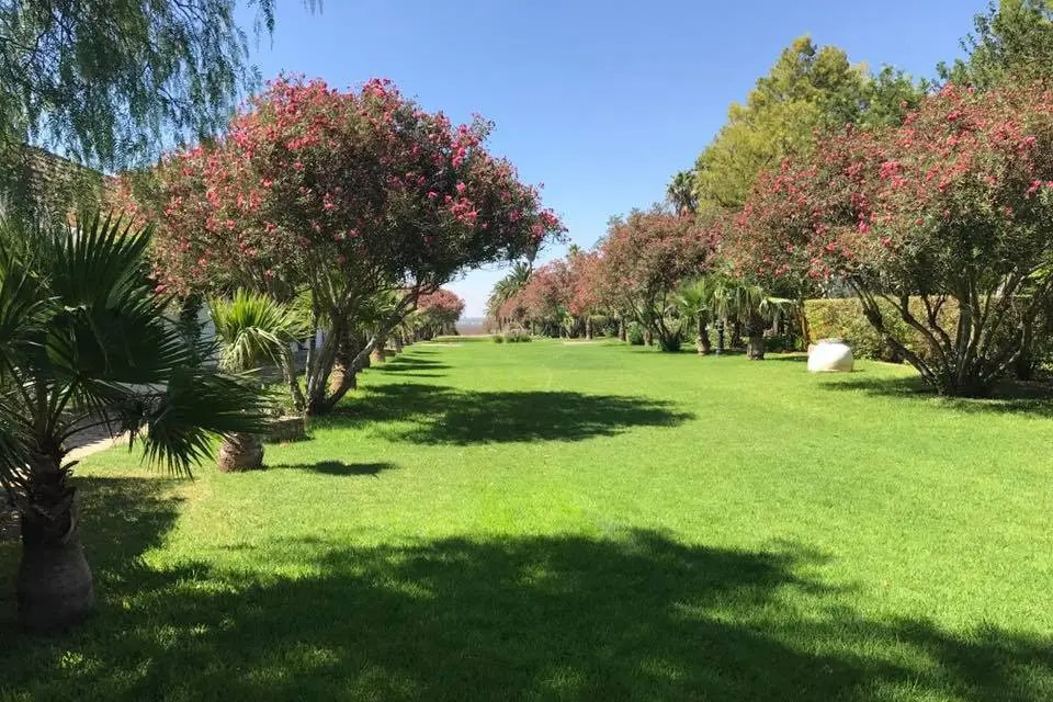 CORTIJO DE FRIAS - imagen 3