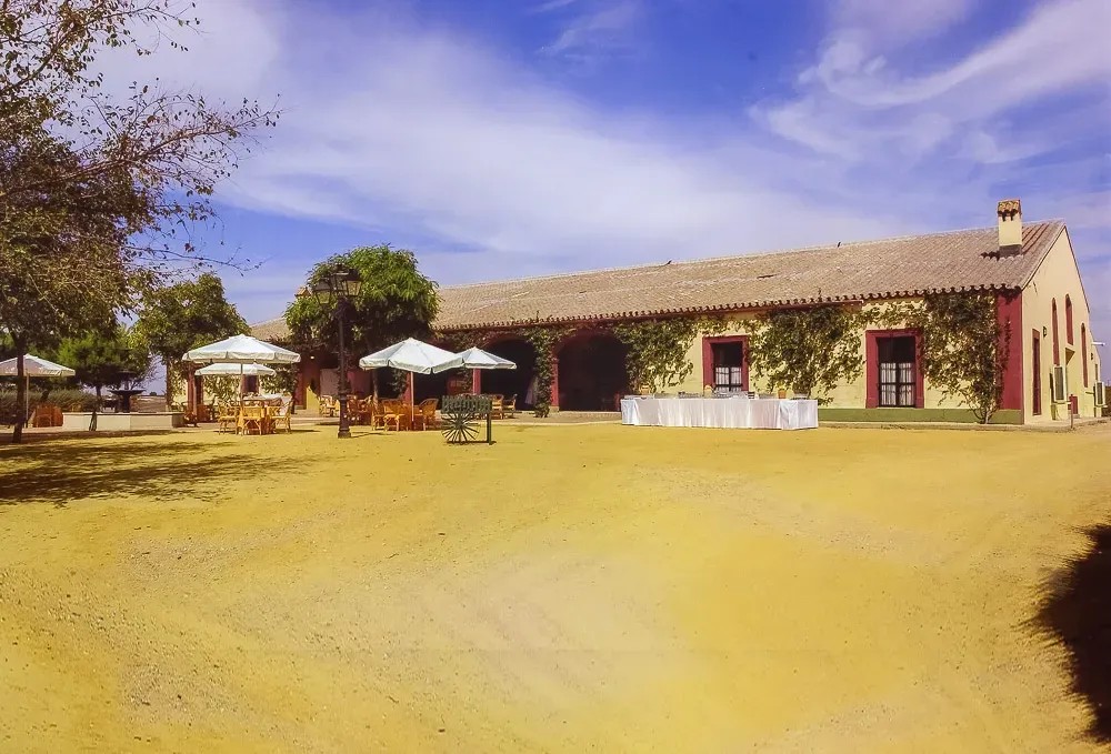 FINCA CERRO DE OBREGON - imagen 3