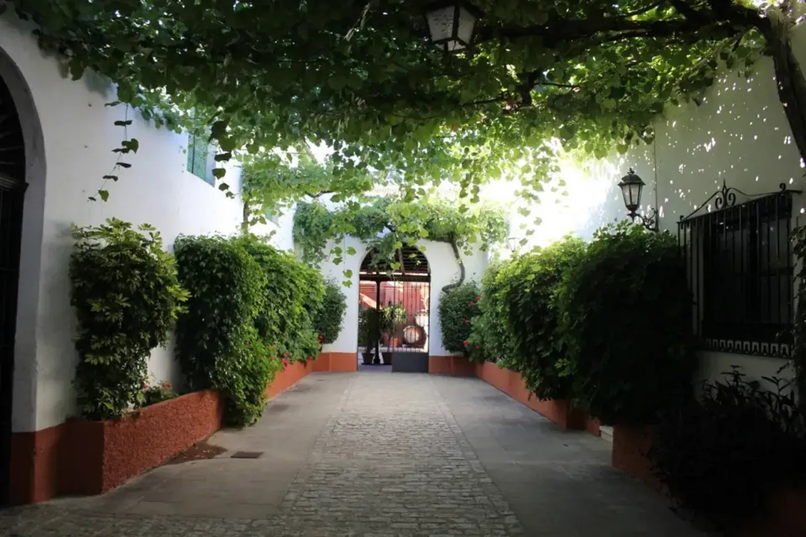 BODEGAS VELEZ - imagen 2