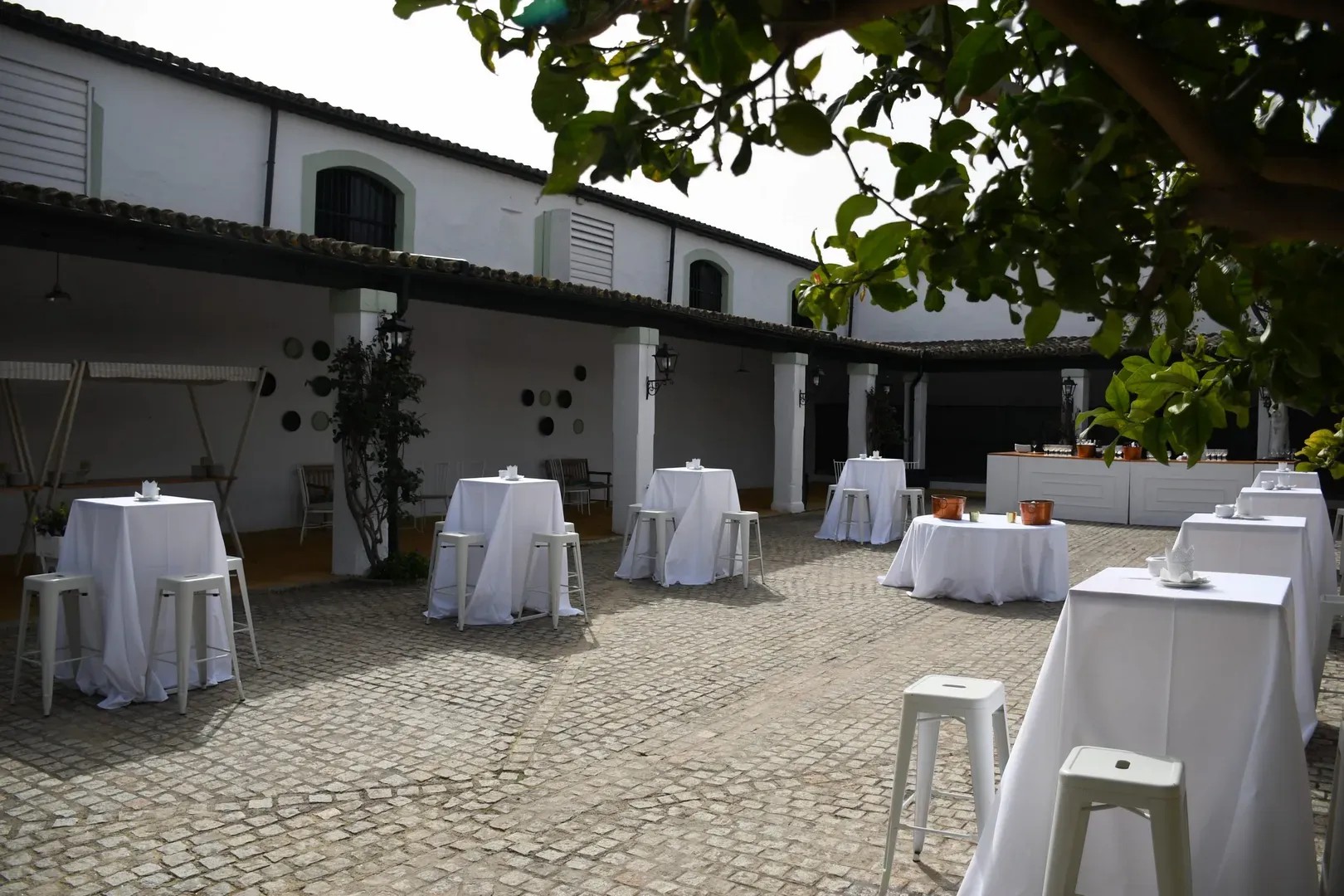 BODEGA ALAMEDA - imagen 5