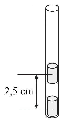 schemat magnesow