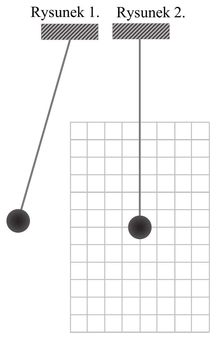 Rysunek 1.