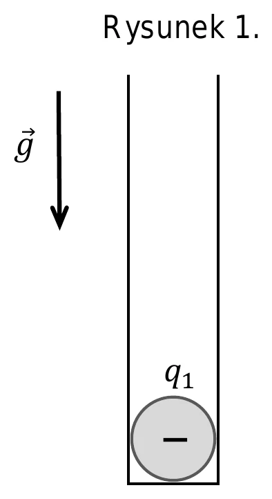 Rysunek 1.