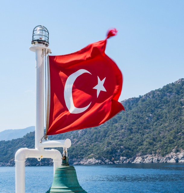 Зачем получать гражданство в Турции и чем это полезно? фото-1