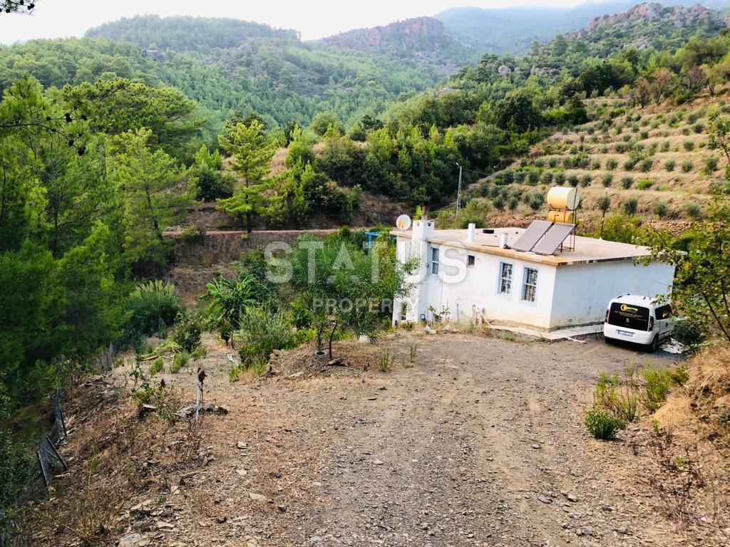 Land plot 3000 m2 with a two-storey house. Demirtas, Alanya. фото 1
