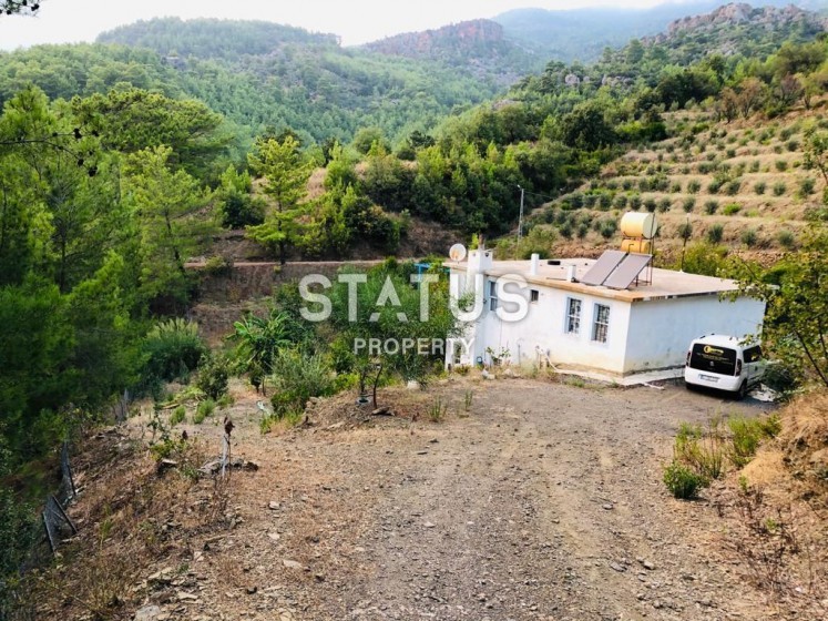 Land plot 3000 m2 with a two-storey house. Demirtas, Alanya. photos 1