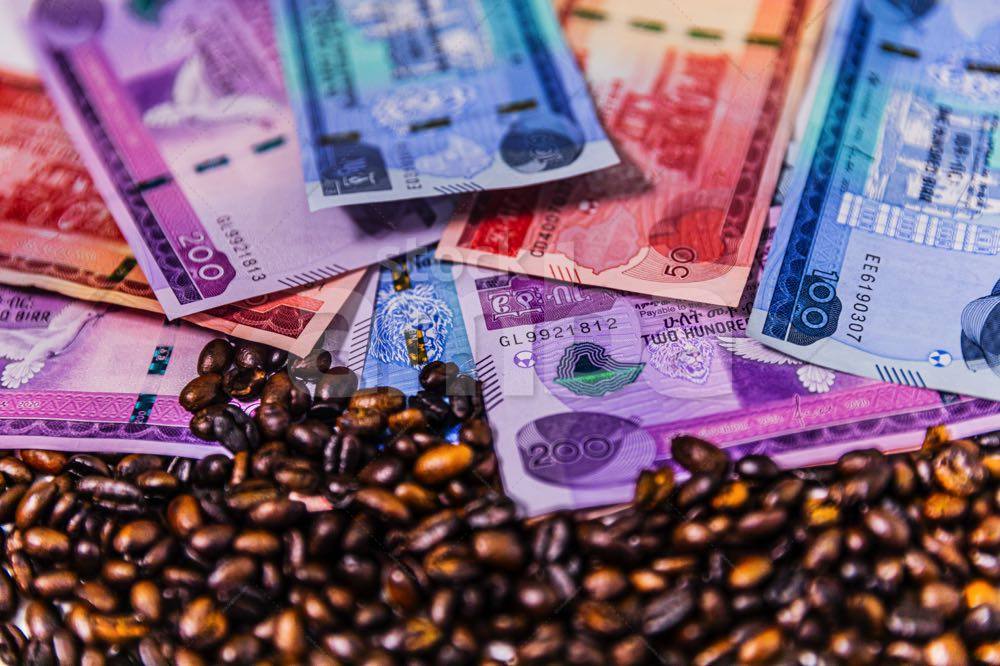 Ethiopian Birr With Lock StockAMBA ethiopian-birr-with-lock-stockamba