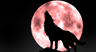 Wolf Live Wallpaper 1.2 - Download