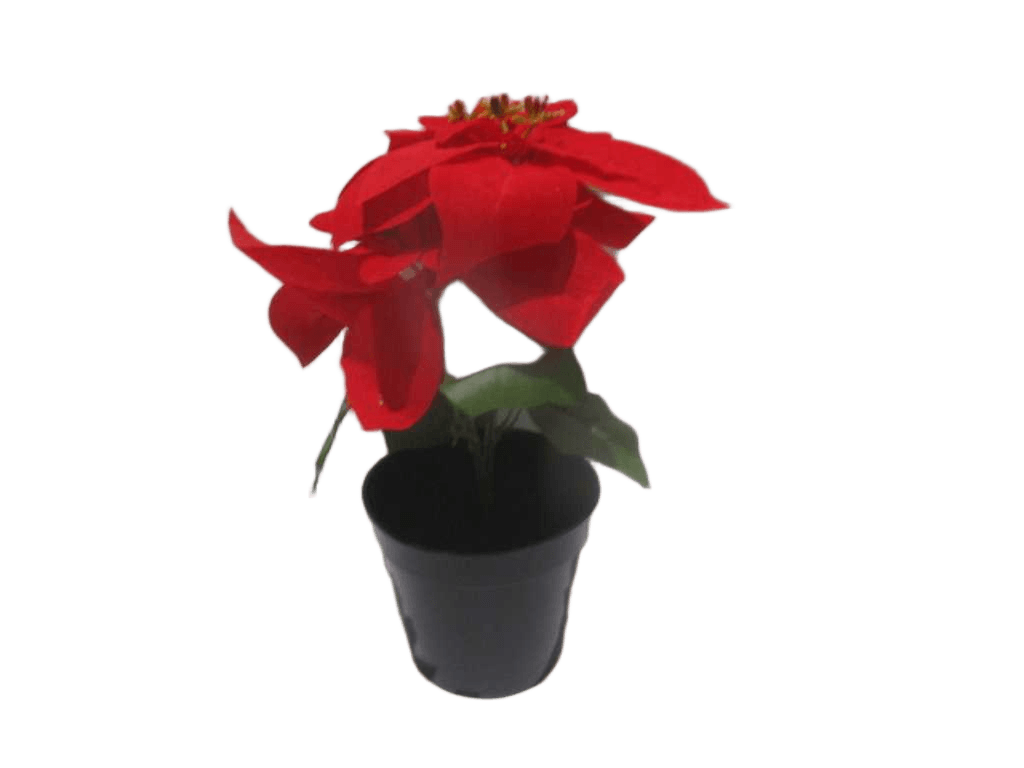Artificial Flower 32cm Poinsettia Bonsai Rd072 53.3*40.6*33cm