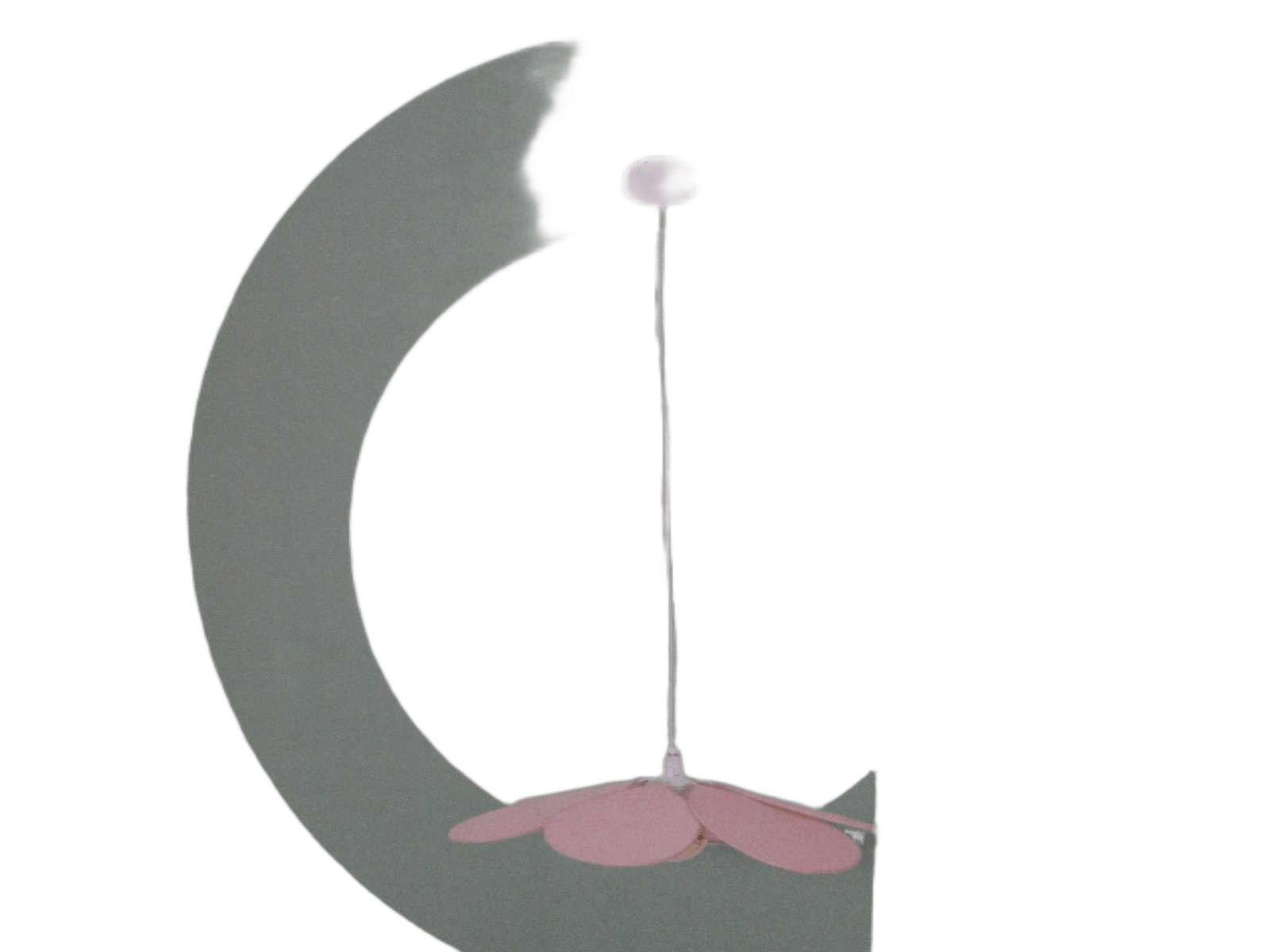 Pink Petal Hangin Lamp