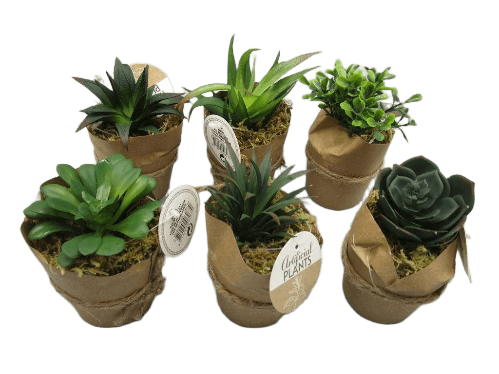 Artificial Succulent Plant Pot 15cm 6ass 1cl=
