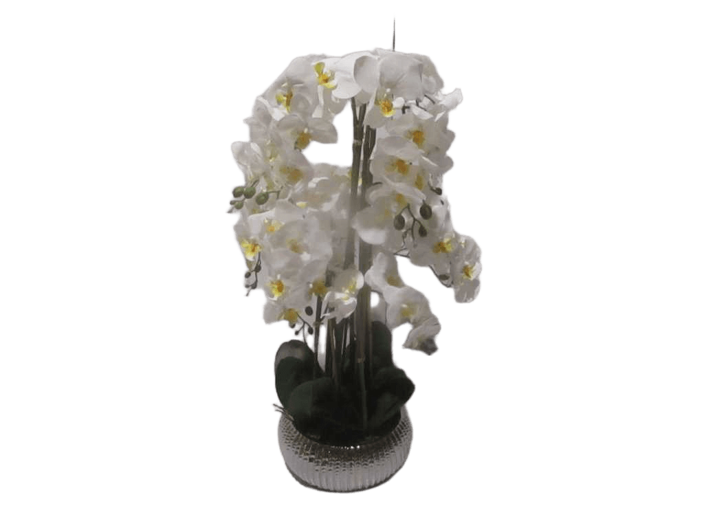 Vase Silver Orchid White Flower D26x13x82