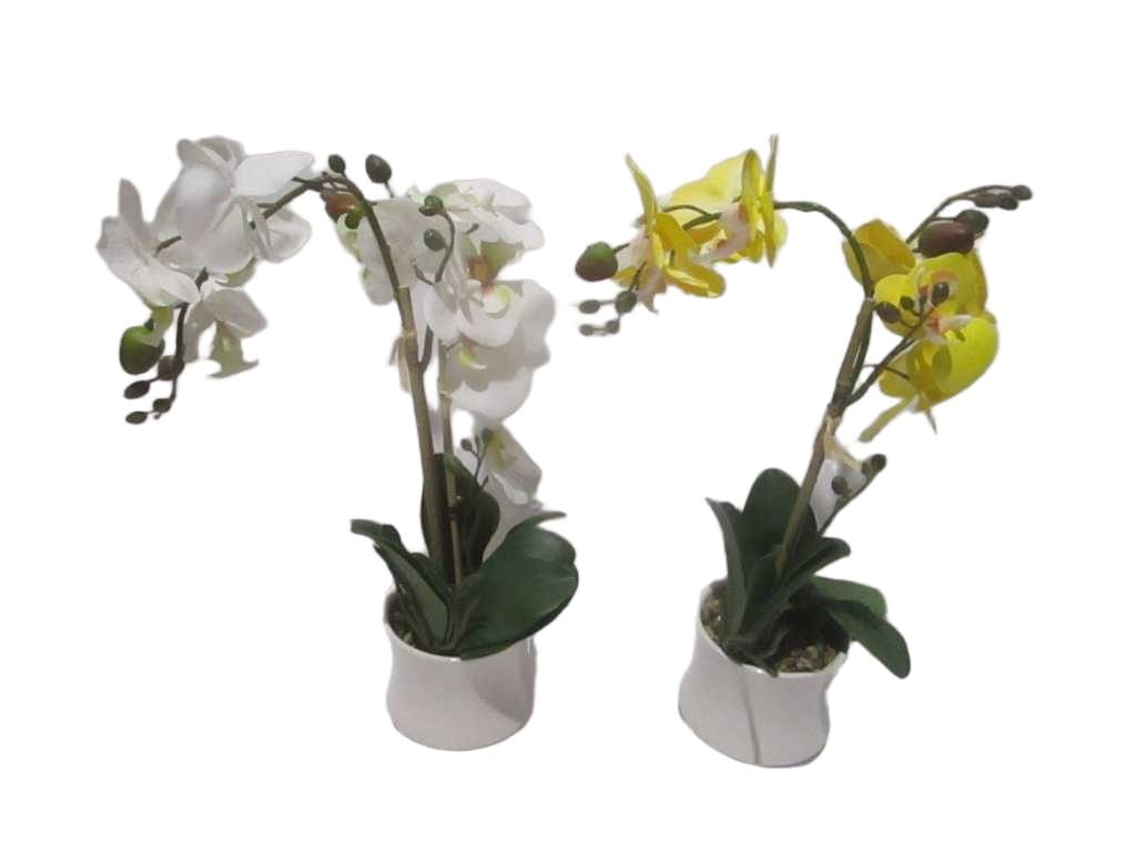 Vase Orchid White Flower And Yellow Flower Assorted White&yellow D11x9x41