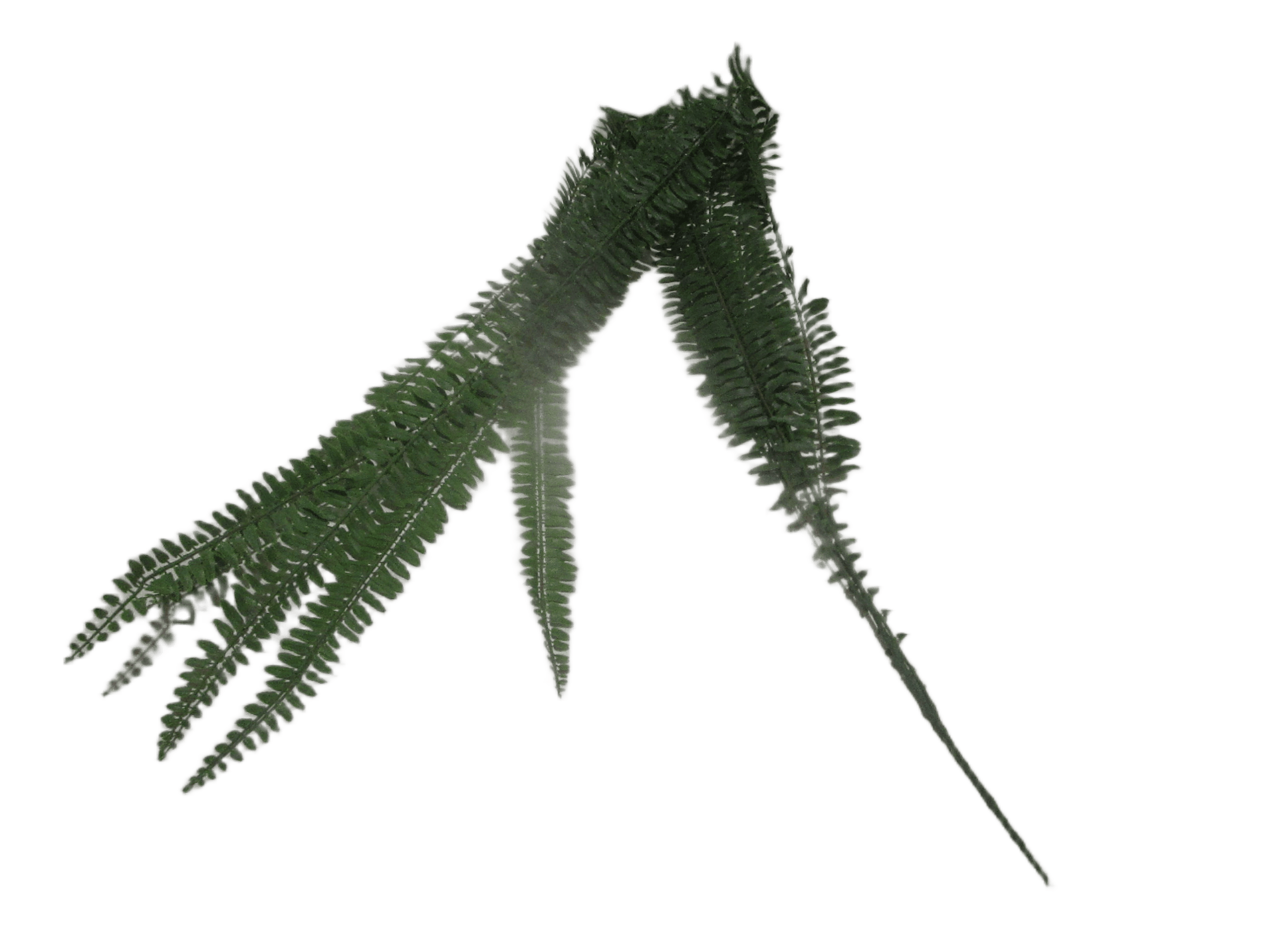 Flower Peaux 165cm Grasses Leaf X 5 165cm Green