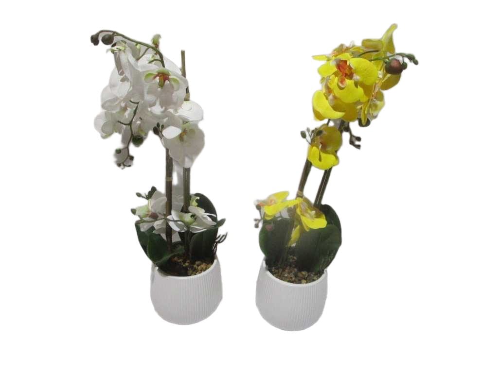 Vase White&yellow Orchid Flower White And Yellow Assorted In White D15x16x58