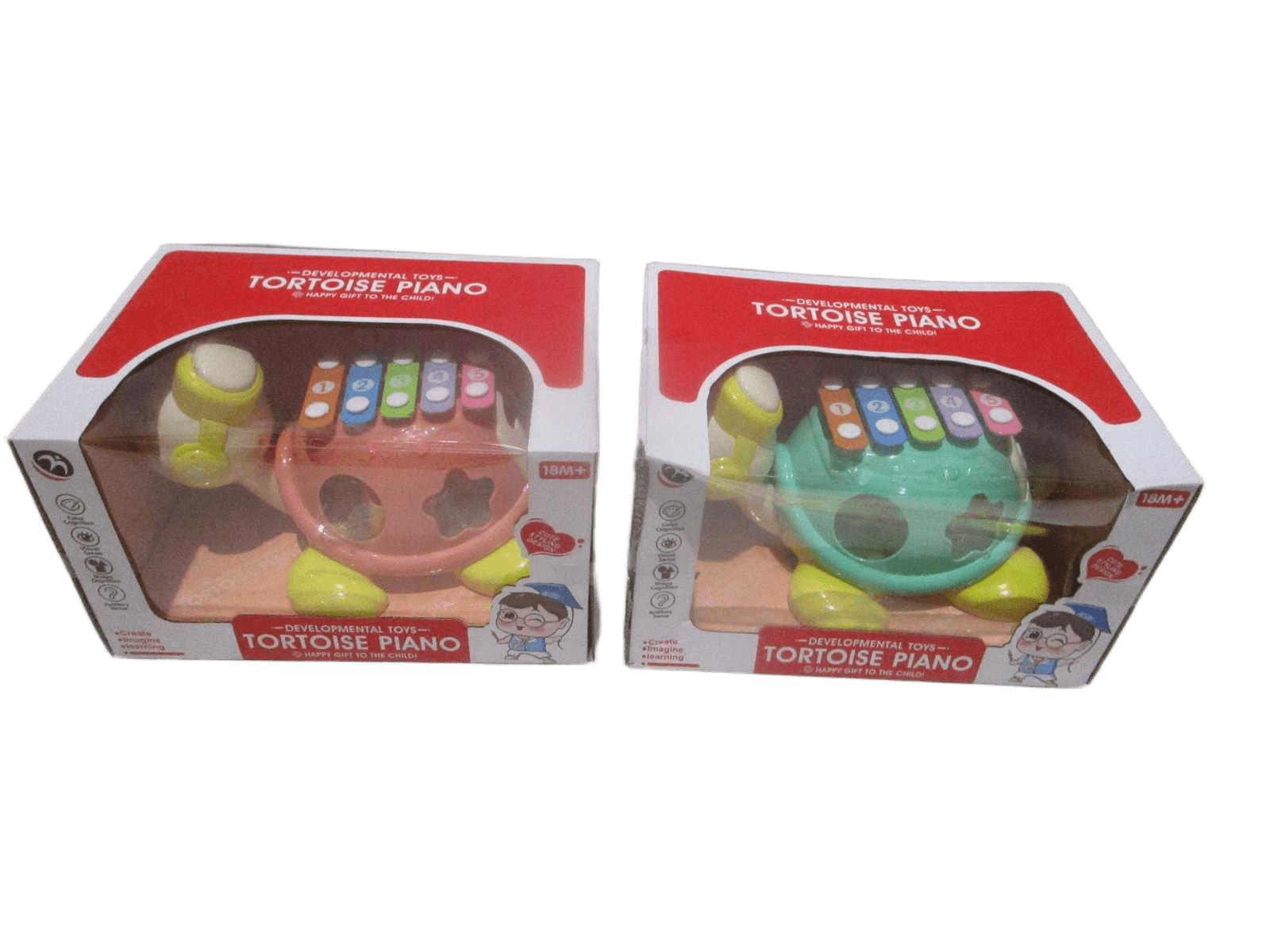 Tortoise Piano Turtle Abs Window Box Pink Blue Ass 29x17x21