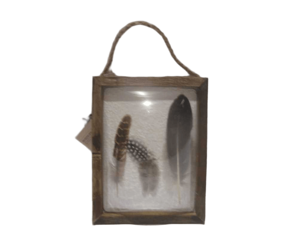 Deco Conv Feather Jonas 20x25