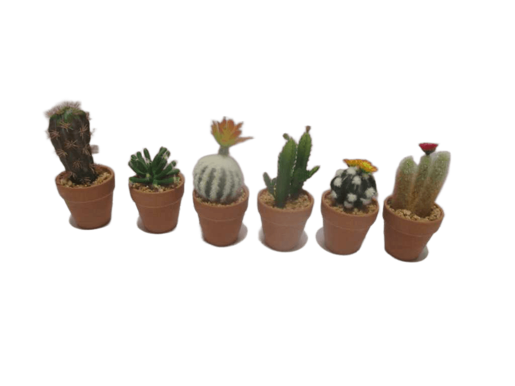 Artificial Flower 15cm Succulent In Pot 6 Ass. Ch06718668 -2pcs Ch06718667 -2pcs Ch06718671 -2pcs Ch06718670 -2pcs Ch06718666 -2pcs Ch06718669 -2pcs 60*45*36cm