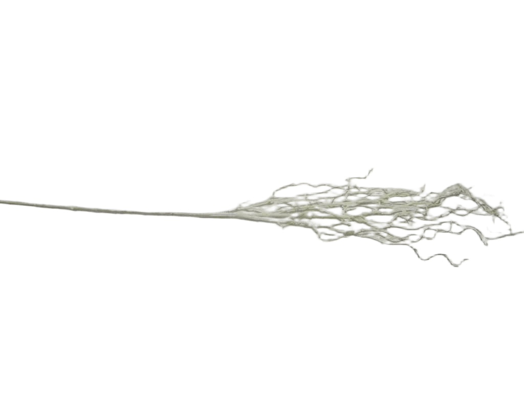 Artificial Flower Willow 120cm Single Branch Cream Cr036 124*32*62cm