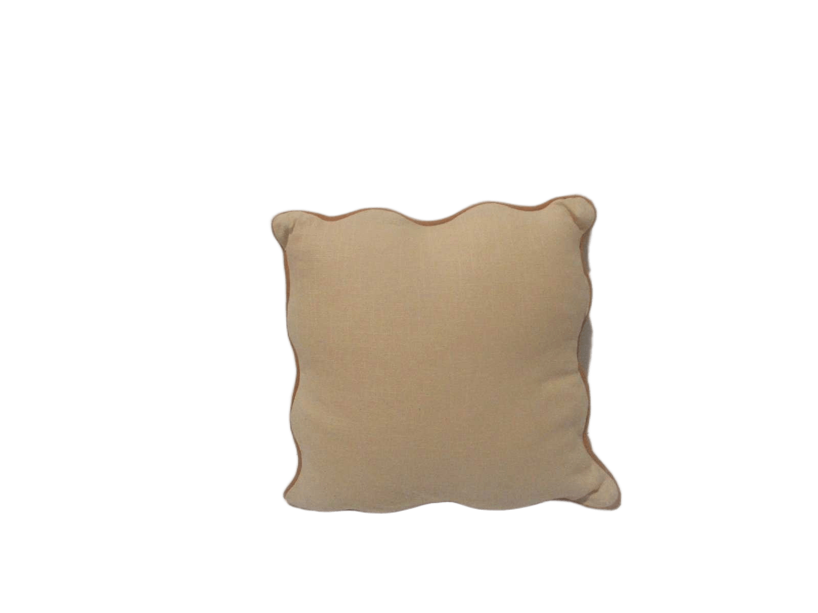 Cushion 45x45 100% Cotton 220 Gsm 420 Gr Polyester Felling Vacuum Pack 45x45