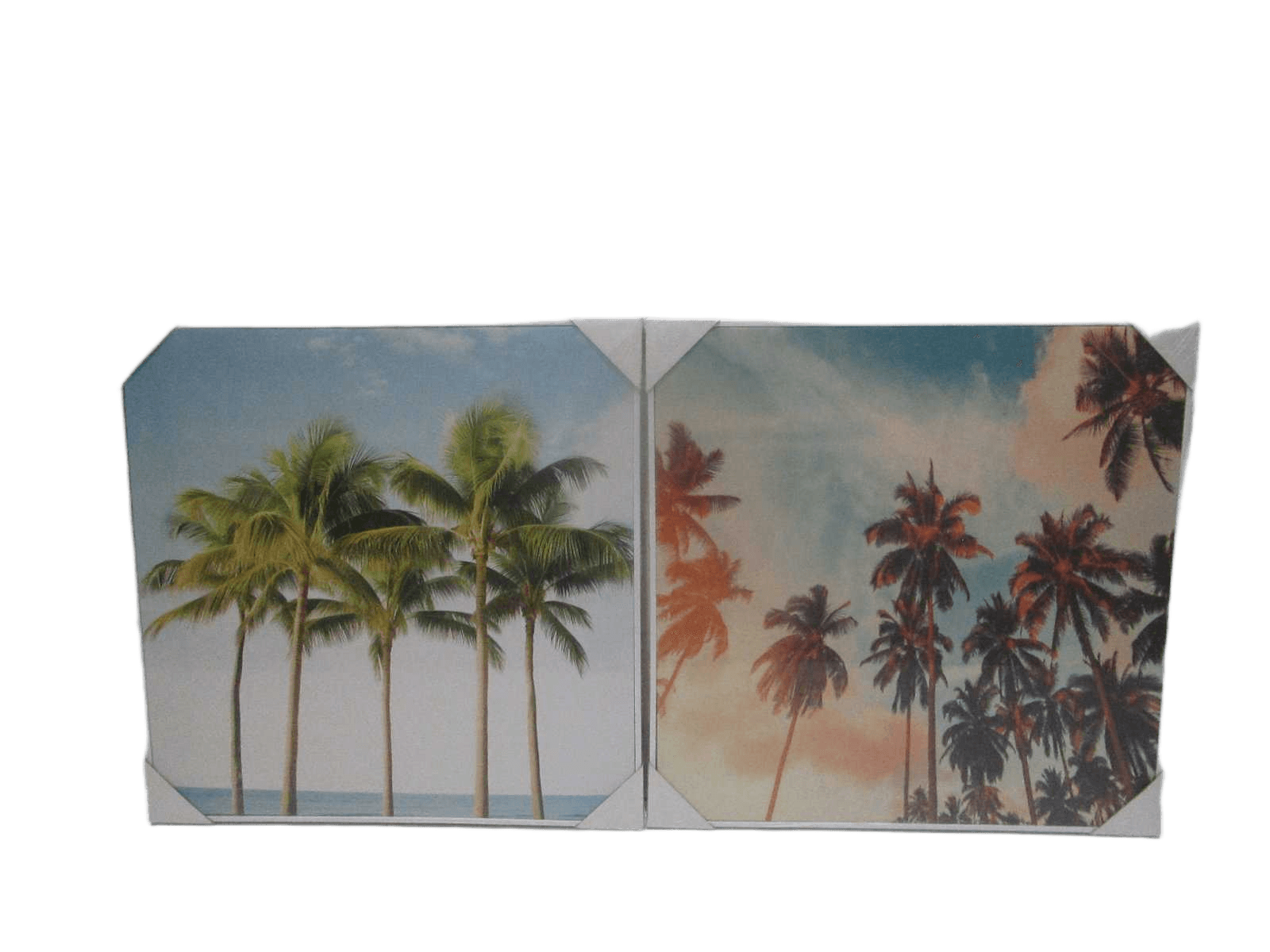 Canvas Printed 2 Assorted Wifh Mdf Back And Plastic Frame Tree Palm