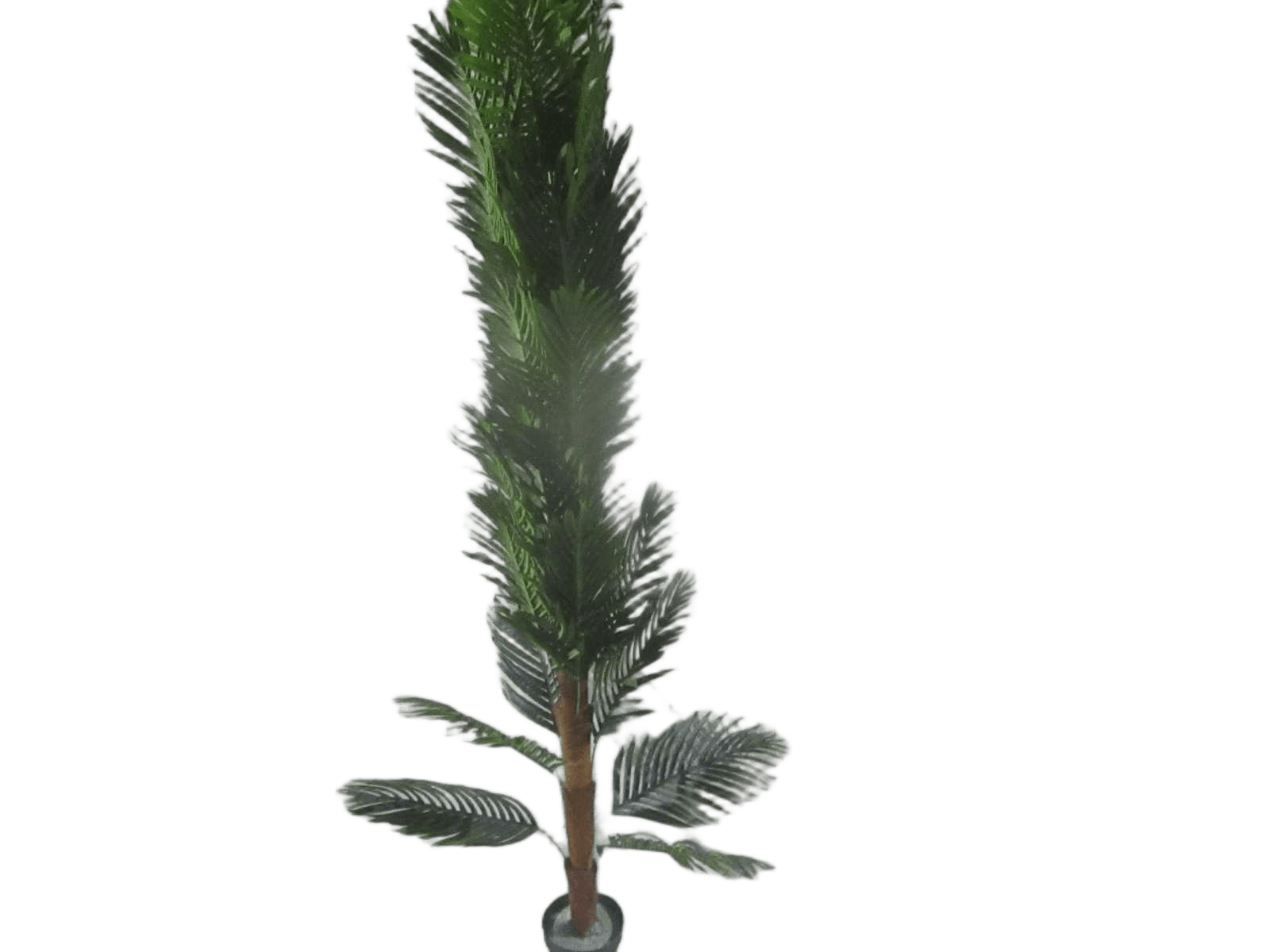 Artificial Plant 2.m W Pot Packing: Opp Bag