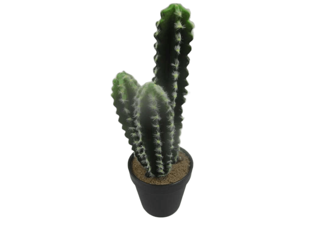 Artificial Flower Cactus In Black Plastic Pot 81*53*82cm