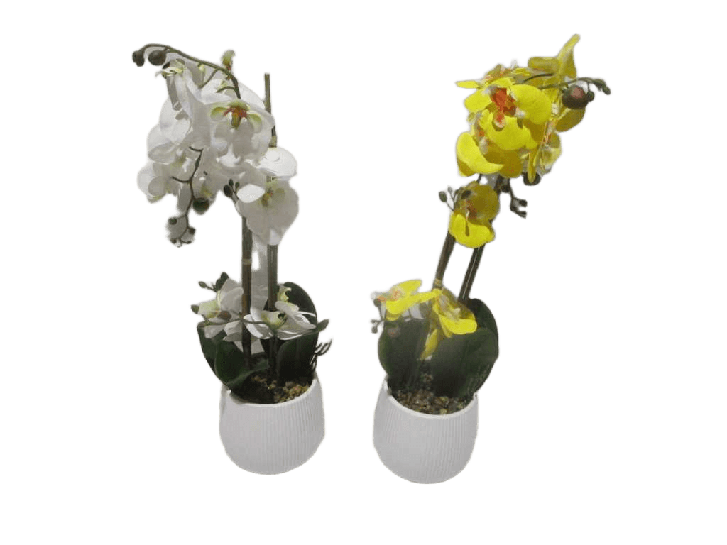 Vase White&yellow Orchid Flower White And Yellow Assorted In White D15x16x58