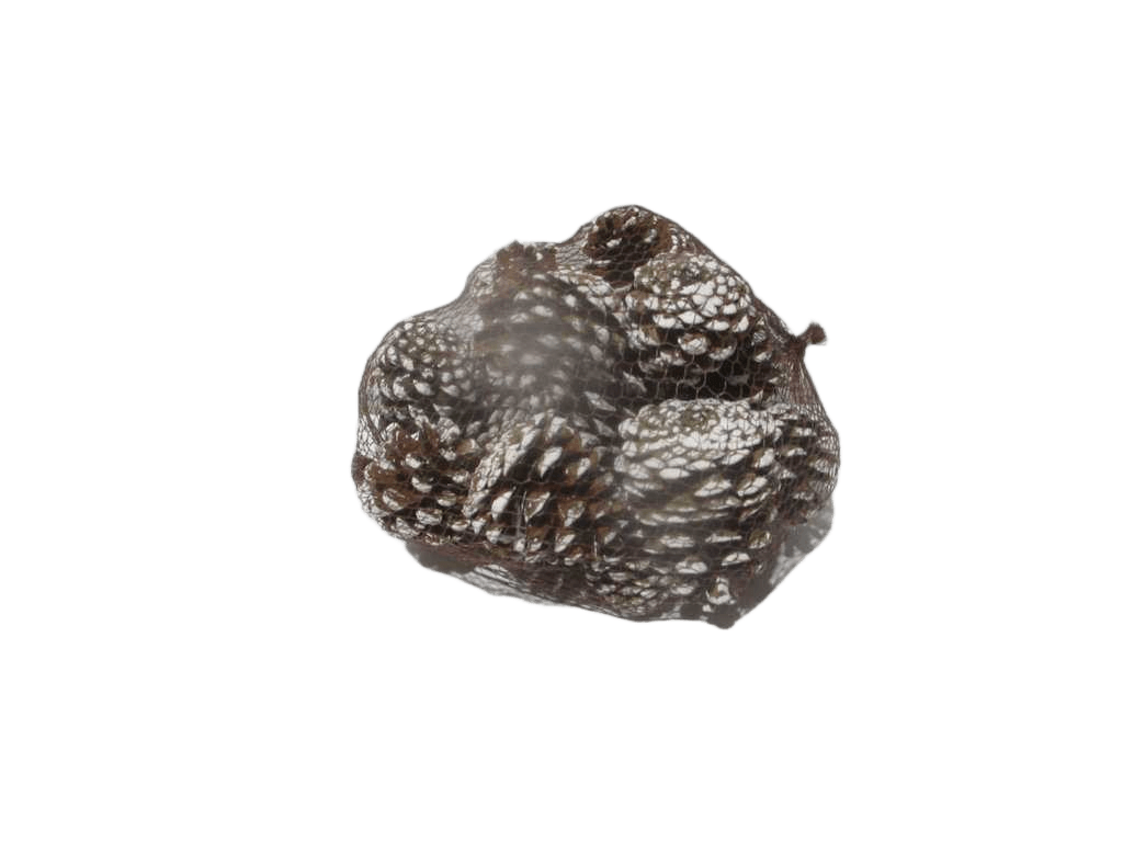 Pinecone Set 300 Gram White