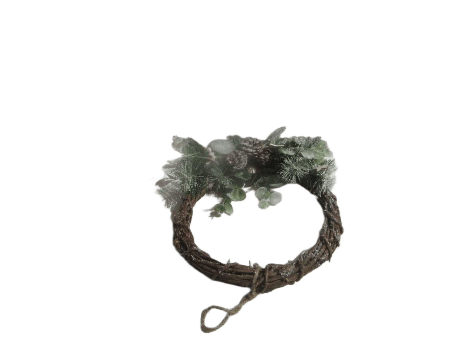 Pinecones Brch Wreath D27