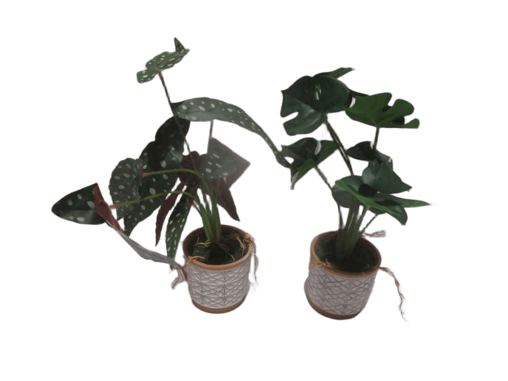 Artificial Flower 45cm Real Touch Monstera In Terracotta Pot 2 Ass. Ch06723341 -2pcs Ch06723342 -2pcs 50*50*48.5cm