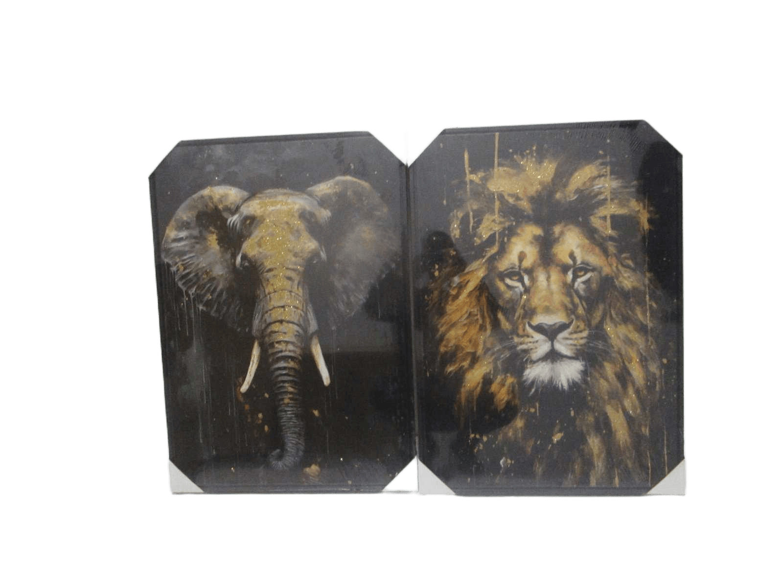 Canvas Printed 2 Assorted Wifh Mdf Back And Plastic Frame Elefant
