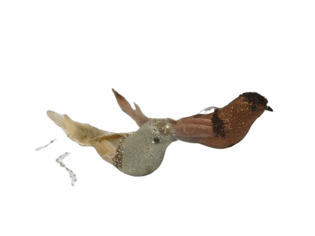 Bird Hanging Deco 34cm 2ass Cl