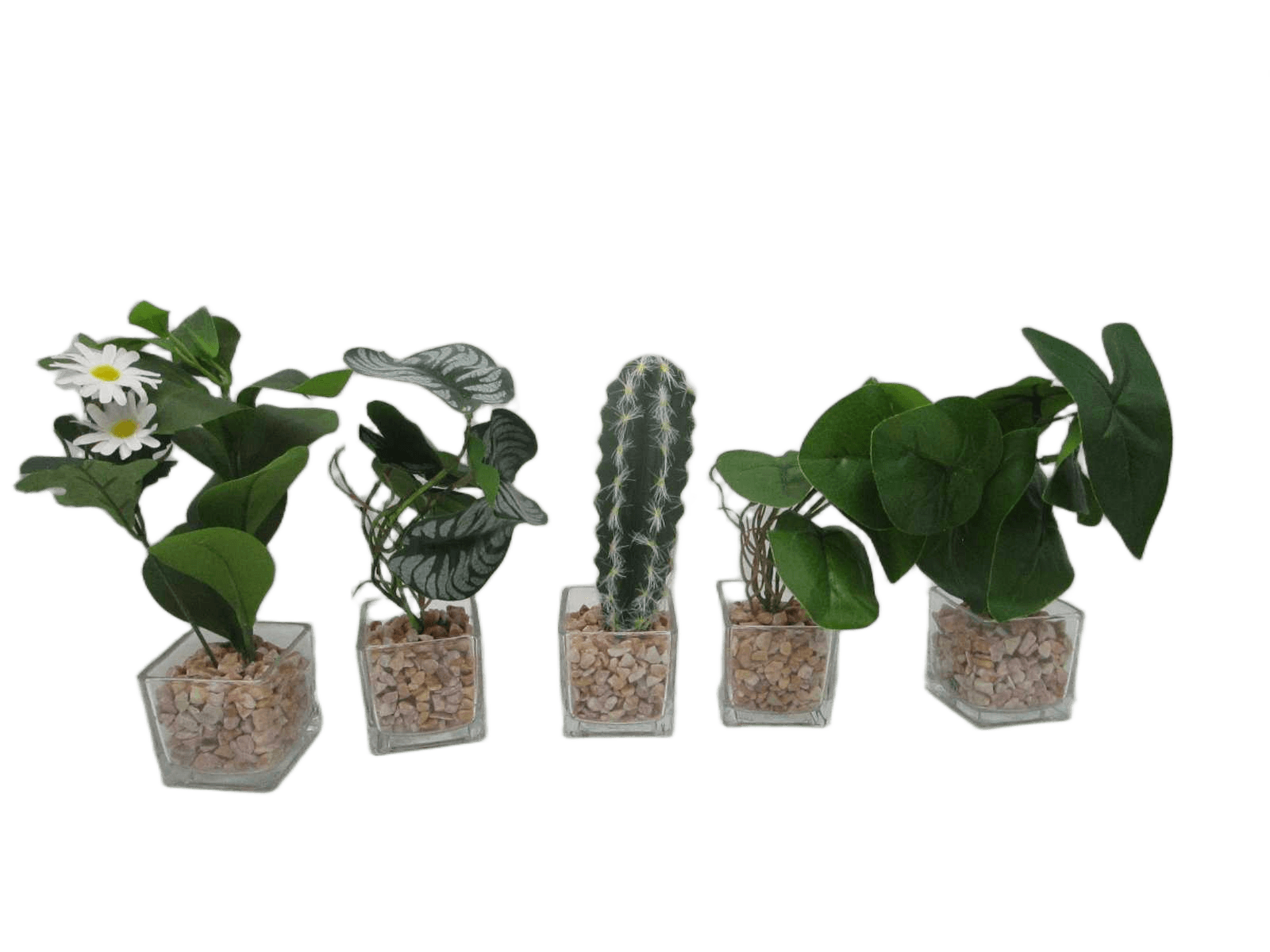 Artificial Plant 5 Type Ass18cm