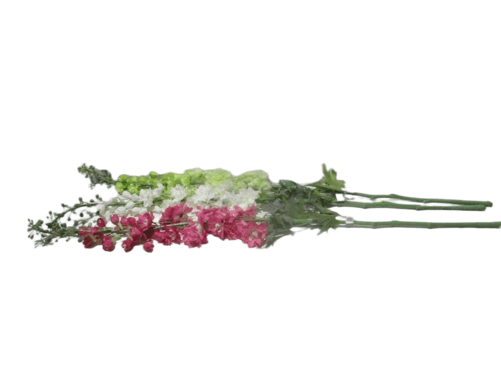 Artificial Flower 135cm Single Delphinium 3 Ass. Green Gr1461-2pcs White Wh001-2pcs Pink Mv1420-2pcs 134.5*45.5*51.5cm