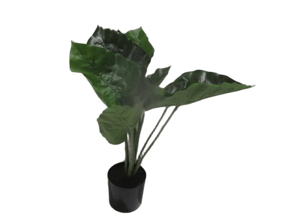 Artificial Flower 50cm Real Touch Wild Philo X 8 Lvs In Plastic Pot 75*42*15cm