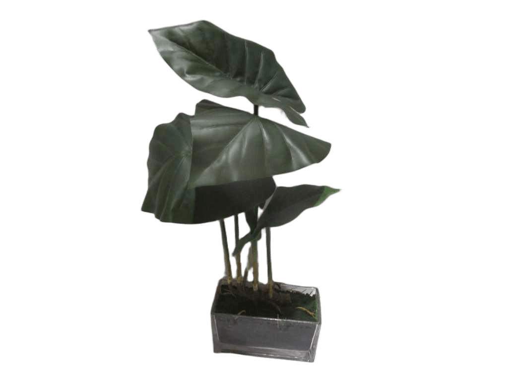 Artificial Flower 48cm Taro Lvs In Glass Bottle Green 87*47*59.5cm